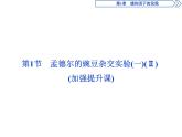 高中生物必修二《第1节 盂德尔的豌豆杂交实验（一）》ppt课件1-统编人教版