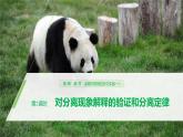 高中生物必修二《第1节 盂德尔的豌豆杂交实验（一）》ppt课件5-统编人教版