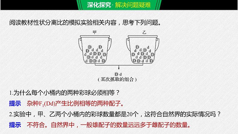 高中生物必修二《第1节 盂德尔的豌豆杂交实验（一）》ppt课件5-统编人教版08