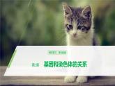 生物高中必修二第2章《基因和染色体的关系》复习ppt课件4-统编人教版