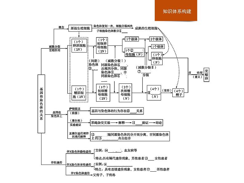 高中必修二生物第2章《本章综合与测试》ppt课件3-统编人教版02