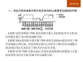 高中必修二生物第2章《本章综合与测试》ppt课件3-统编人教版