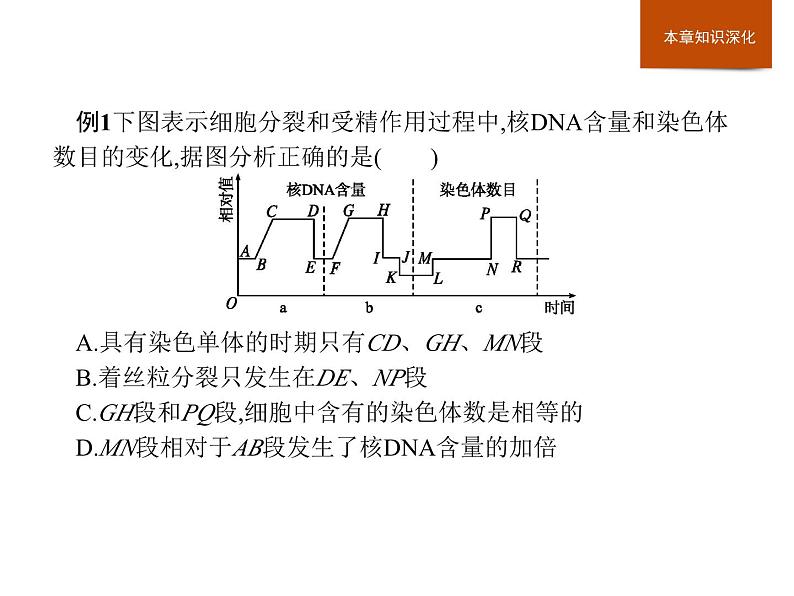 高中必修二生物第2章《本章综合与测试》ppt课件3-统编人教版04