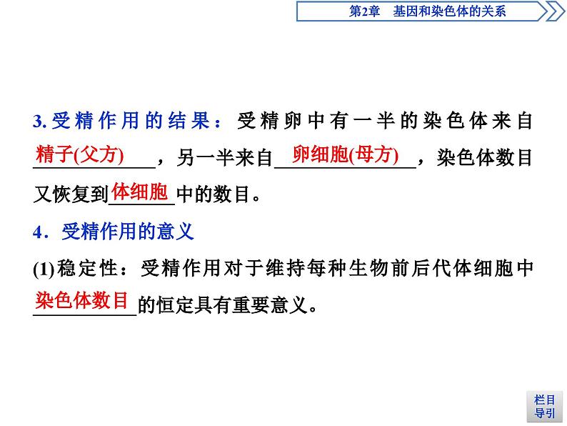 高中生物必修二《第1节 减数分裂和受精作用》ppt课件-统编人教版08