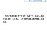 高中生物必修二《第1节 减数分裂和受精作用》教学课件-统编人教版
