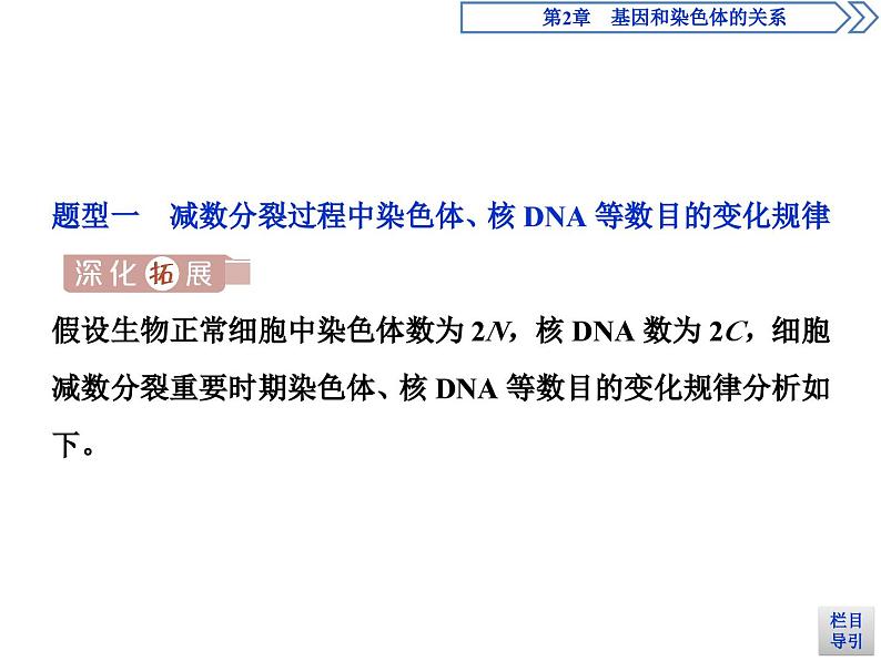 高中生物必修二《第1节 减数分裂和受精作用》教学课件-统编人教版第3页