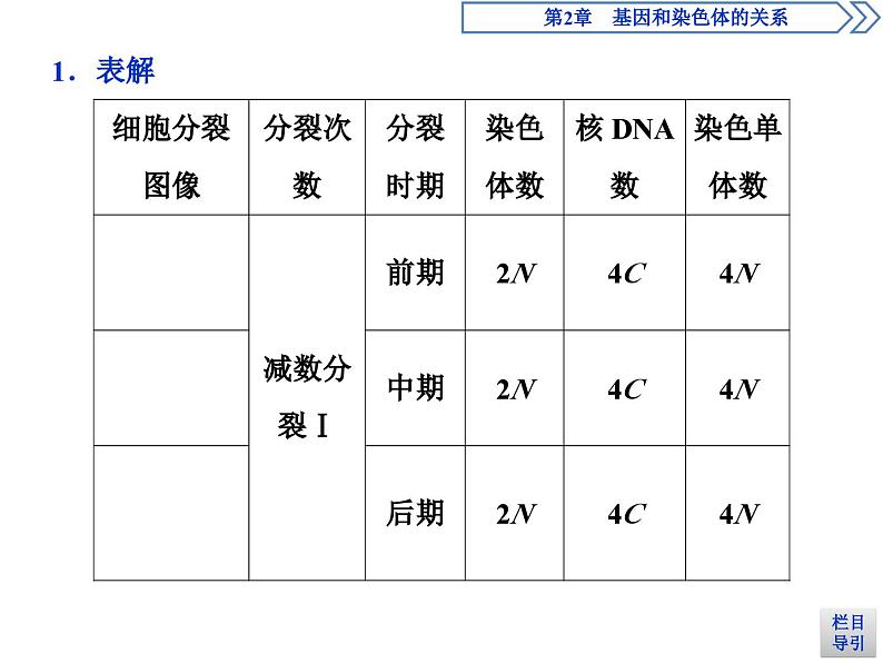 高中生物必修二《第1节 减数分裂和受精作用》教学课件-统编人教版第4页