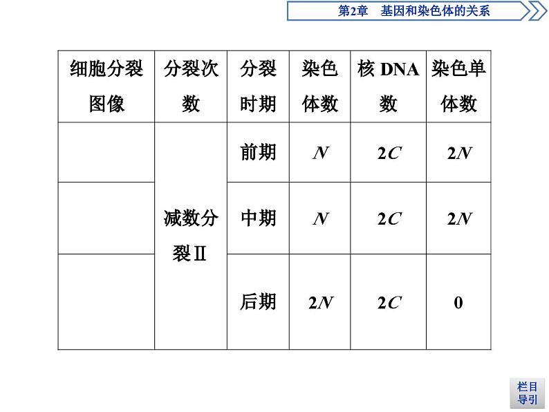 高中生物必修二《第1节 减数分裂和受精作用》教学课件-统编人教版第5页