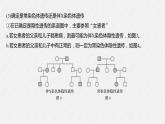 高中生物必修二第2章《伴性遗传的常规解题方法》ppt课件5-统编人教版
