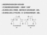 高中生物必修二第2章《伴性遗传的常规解题方法》ppt课件5-统编人教版