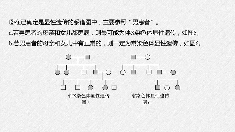 高中生物必修二第2章《伴性遗传的常规解题方法》ppt课件5-统编人教版第5页