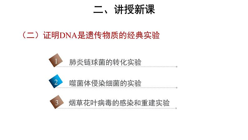 高中必修二生物《第1节 DNA是主要的遗传物质》ppt课件3-统编人教版05