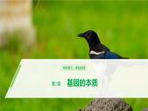 高中必修二生物第3章《基因的本质》复习ppt课件3-统编人教版