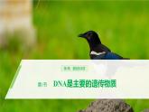 高中生物必修二《第1节 DNA是主要的遗传物质》ppt课件1-统编人教版