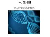 高中生物必修二《第2节 DNA的结构》ppt课件-统编人教版
