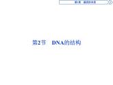 高中生物必修二《第2节 DNA的结构》ppt课件2-统编人教版