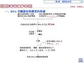 高中生物必修二《第2节 DNA的结构》ppt课件2-统编人教版