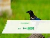 高中生物必修二《第2节 DNA的结构》教学课件-统编人教版