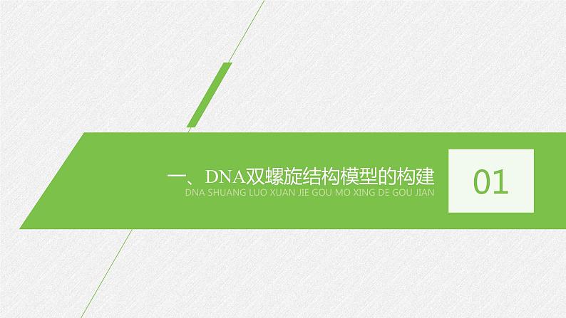 高中生物必修二《第2节 DNA的结构》教学课件-统编人教版第4页