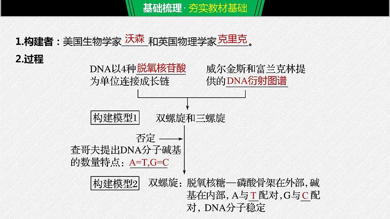 高中生物必修二《第2节 DNA的结构》教学课件-统编人教版第5页