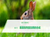 高中必修二生物《第1节 基因指导蛋白质的合成》ppt课件3-统编人教版