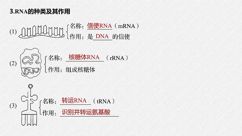 高中必修二生物《第1节 基因指导蛋白质的合成》ppt课件3-统编人教版第7页