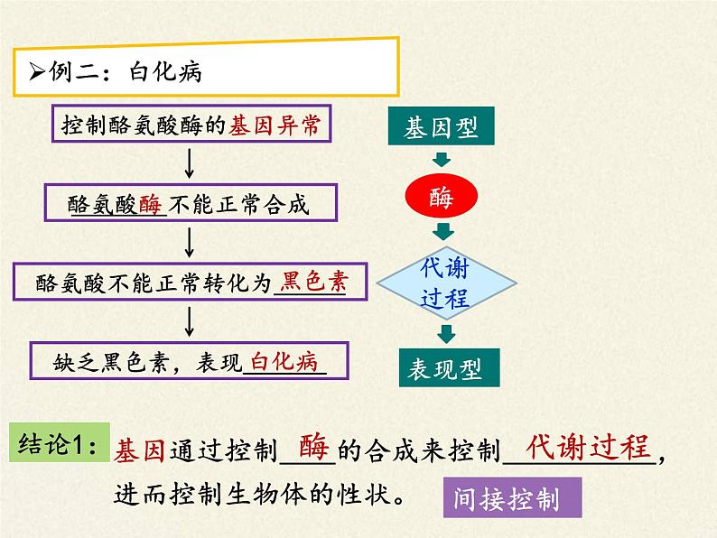 高中必修二生物《第2节 基因表达与性状的关系》ppt课件3-统编人教版第6页