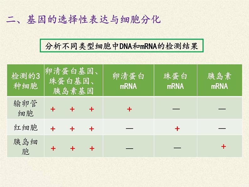 高中必修二生物《第2节 基因表达与性状的关系》ppt课件3-统编人教版第8页