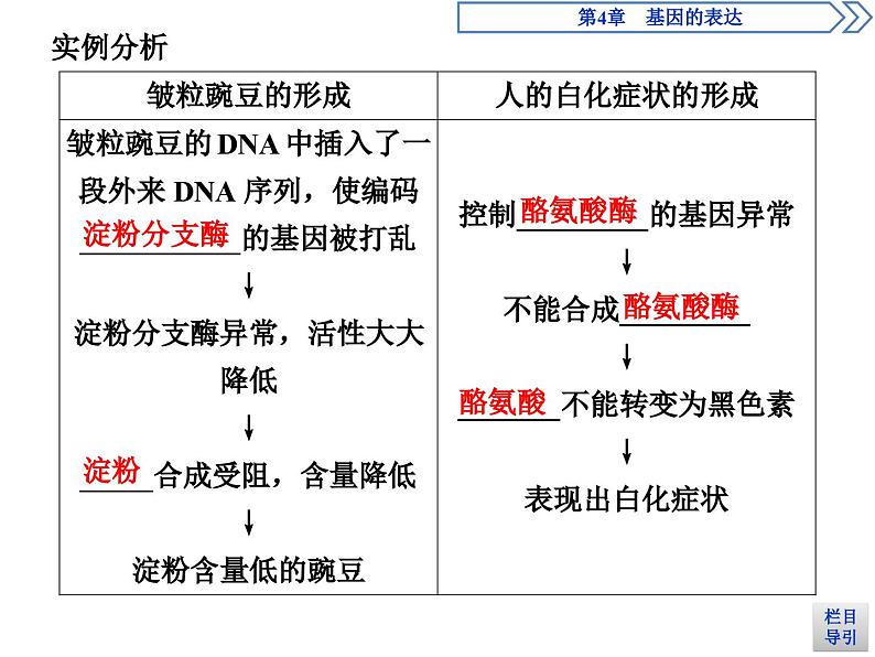 高中生物必修二《第2节 基因表达与性状的关系》ppt课件1-统编人教版第4页