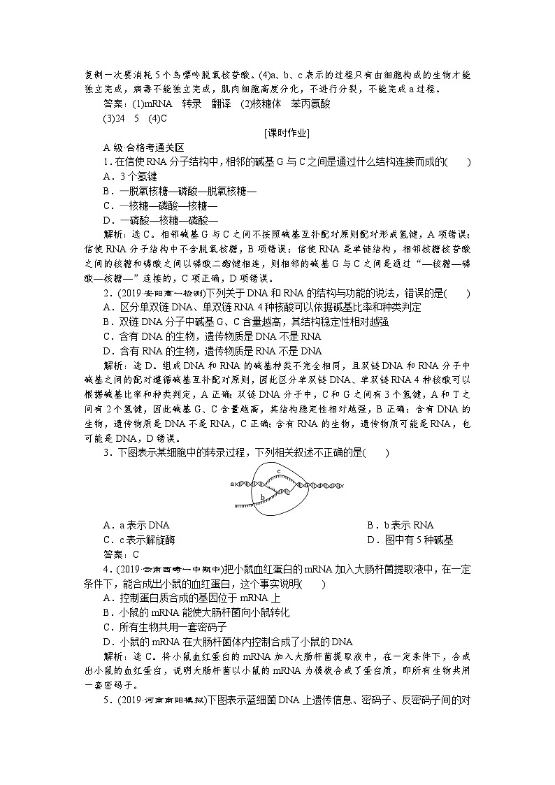 生物高中必修二《第1节 基因指导蛋白质的合成》随堂达标检测-统编人教版第3页
