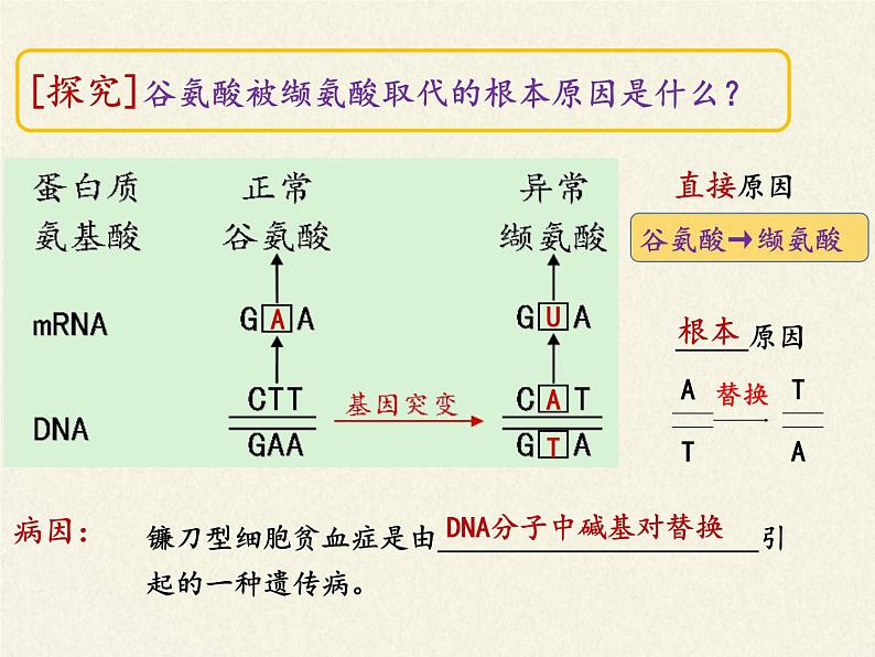 高中必修二生物《第1节 基因突变和基因重组》ppt课件3-统编人教版第8页