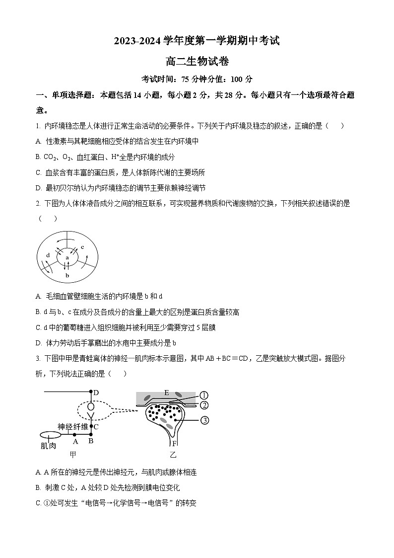 江苏省无锡市锡东高级中学2023-2024学年高二上学期期中生物试题（Word版附解析）01
