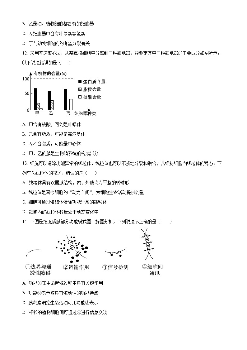 江苏省扬州市邗江区2023-2024学年高一上学期期中调研测试生物试卷（Word版附解析）03
