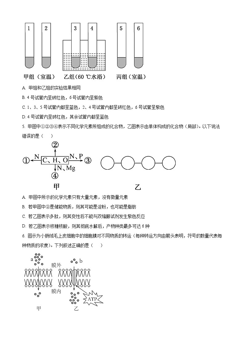山东省泰安市第一中学2023-2024学年高一上学期期中考试生物试题（Word版附解析）02