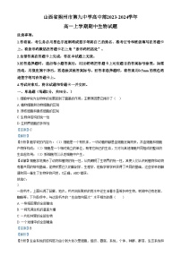 山西省朔州市怀仁市第九中学2023-2024学年高一上学期期中生物试题（Word版附解析）