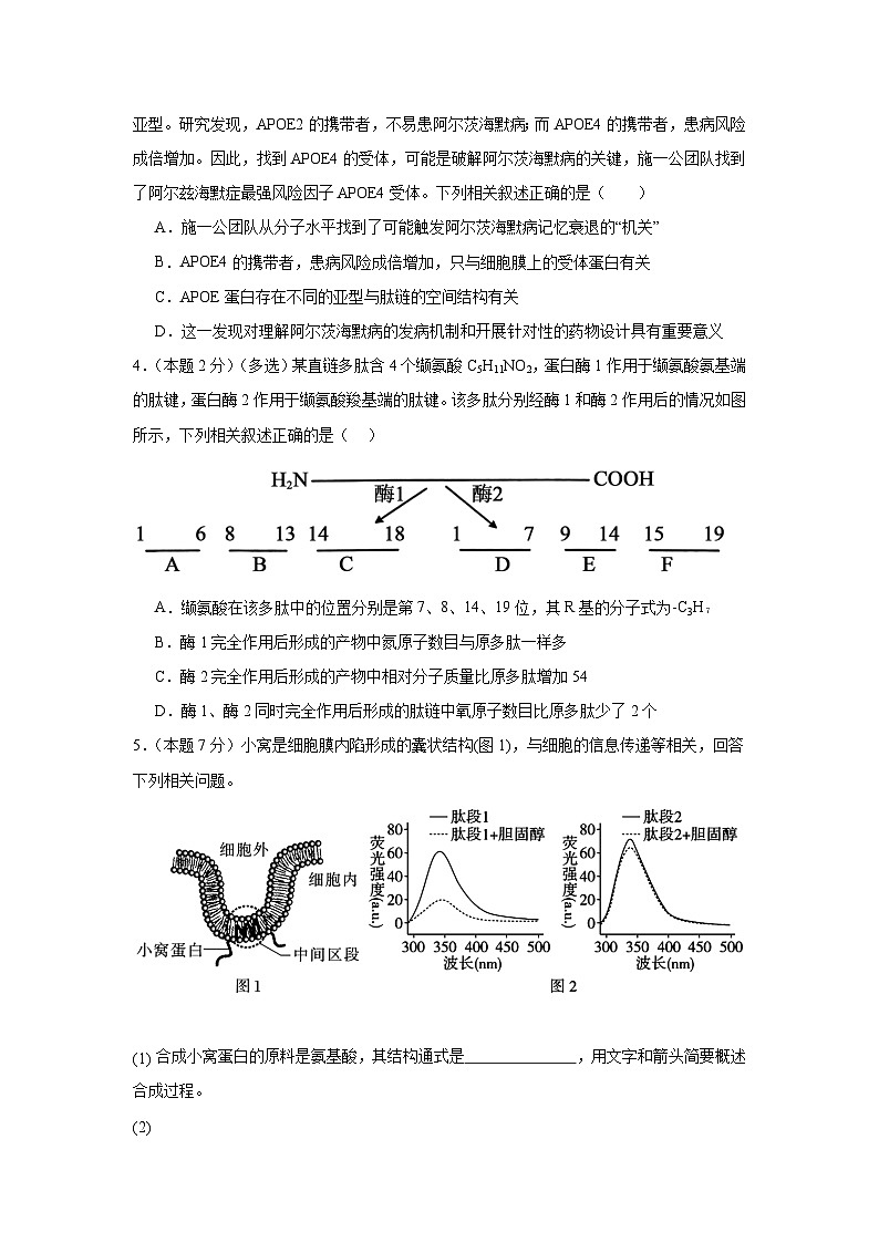 上海市宜川中学2023-2024学年高三上学期12月期末调研生物试题02