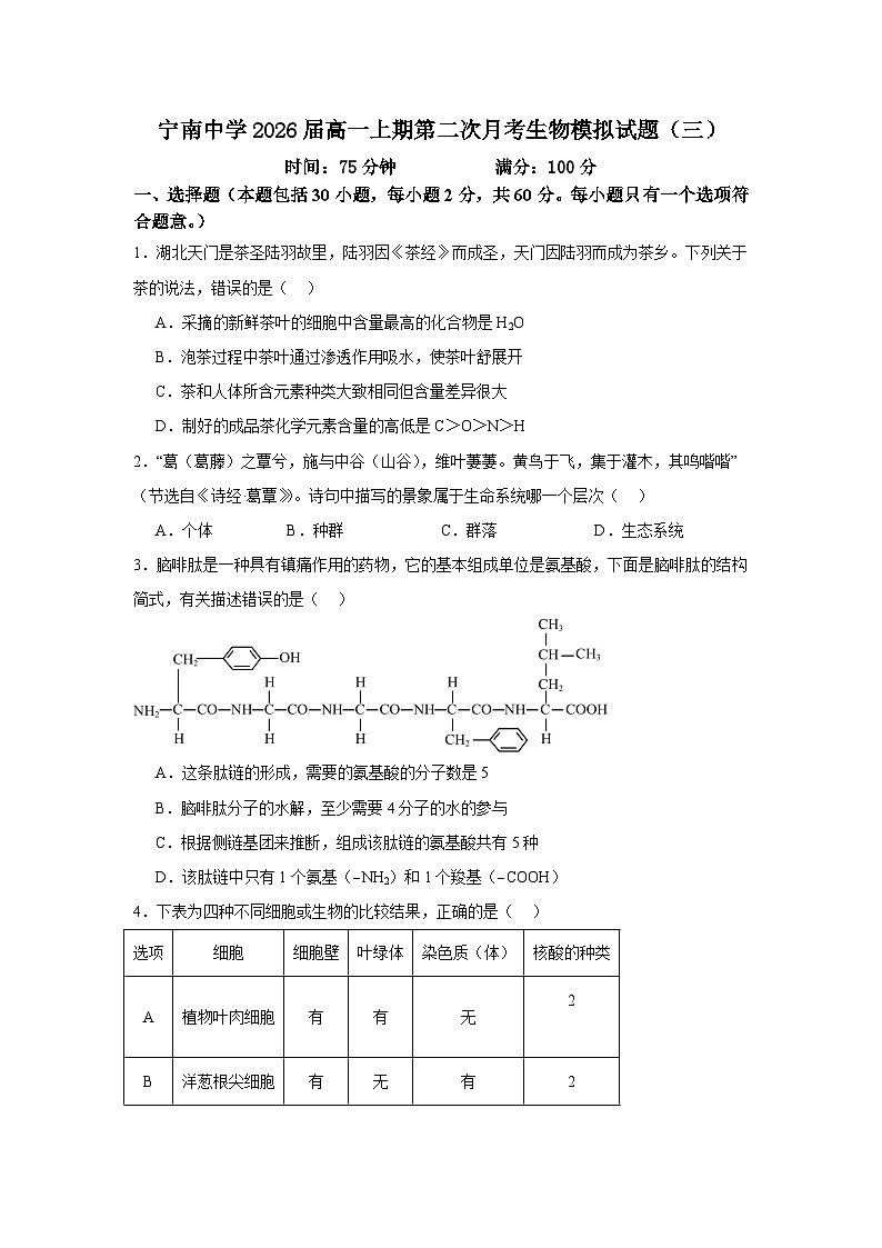 四川省凉山州宁南中学2023-2024学年高一上学期第二次月考生物模拟试题（三）01