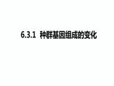 人教版高中生物必修二6.3.1 种群基因组成的变化课件+同步分层练习（含答案解析）