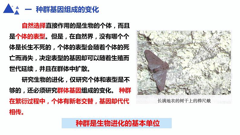 人教版高中生物必修二6.3.1 种群基因组成的变化课件+同步分层练习（含答案解析）03