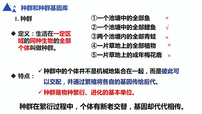 人教版高中生物必修二6.3.1 种群基因组成的变化课件+同步分层练习（含答案解析）04