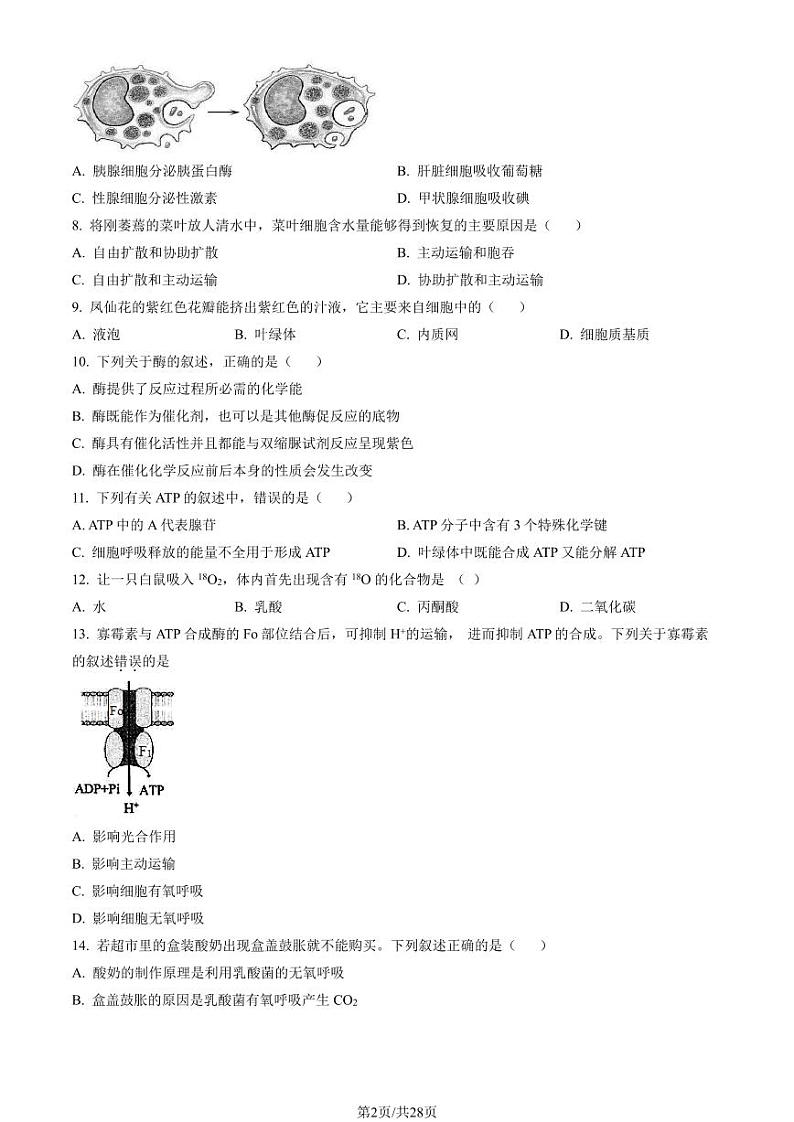 2023年北京八中高一上学期期末生物试卷及答案（教师版）02