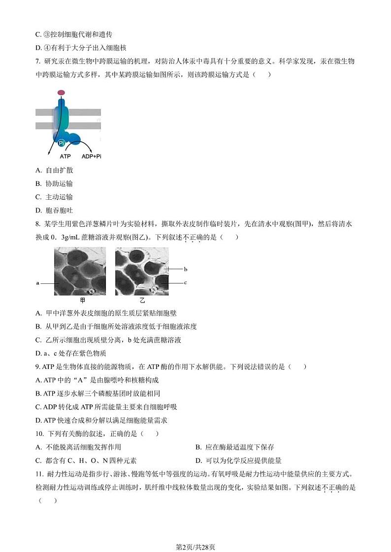 2023年北京北师大附中高一上学期期末生物试卷及答案（教师版）第2页