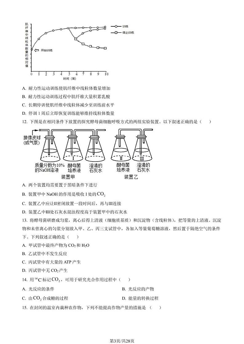 2023年北京北师大附中高一上学期期末生物试卷及答案（教师版）第3页