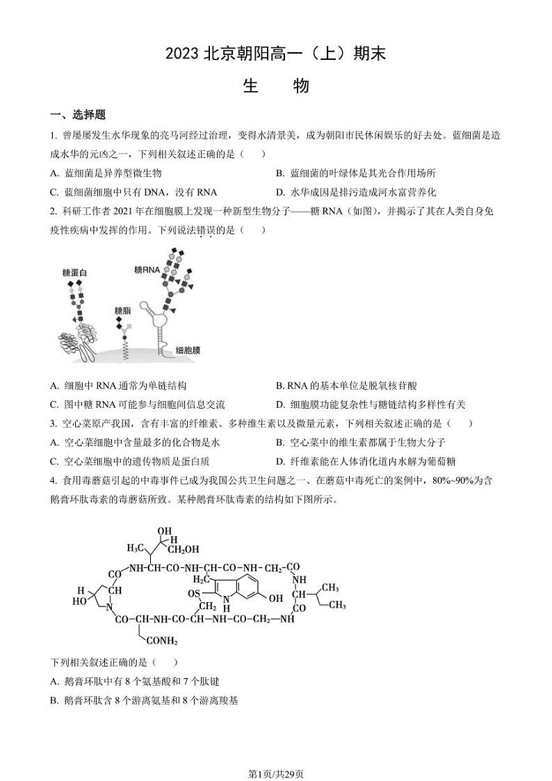 2023年北京朝阳高一上学期期末生物试卷及答案（教师版）第1页