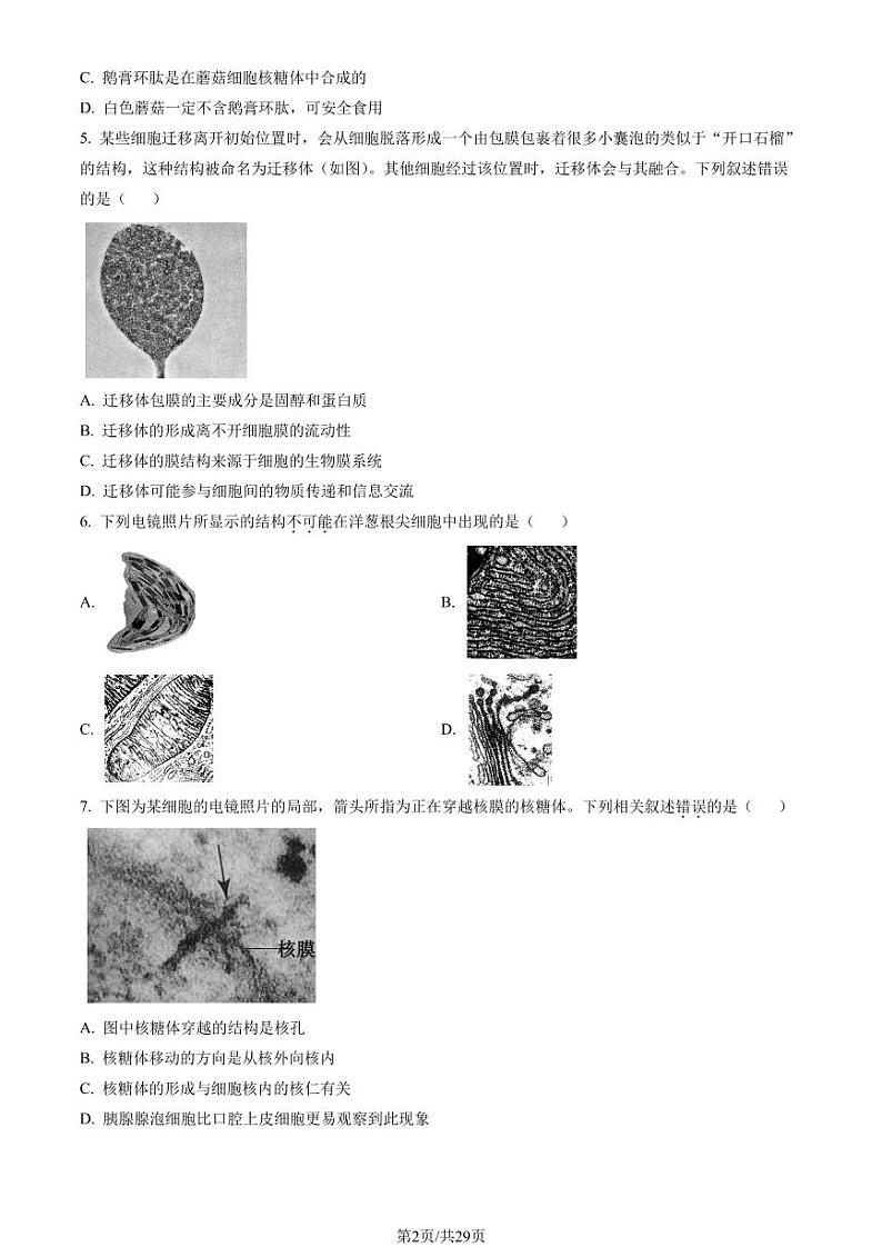 2023年北京朝阳高一上学期期末生物试卷及答案（教师版）第2页