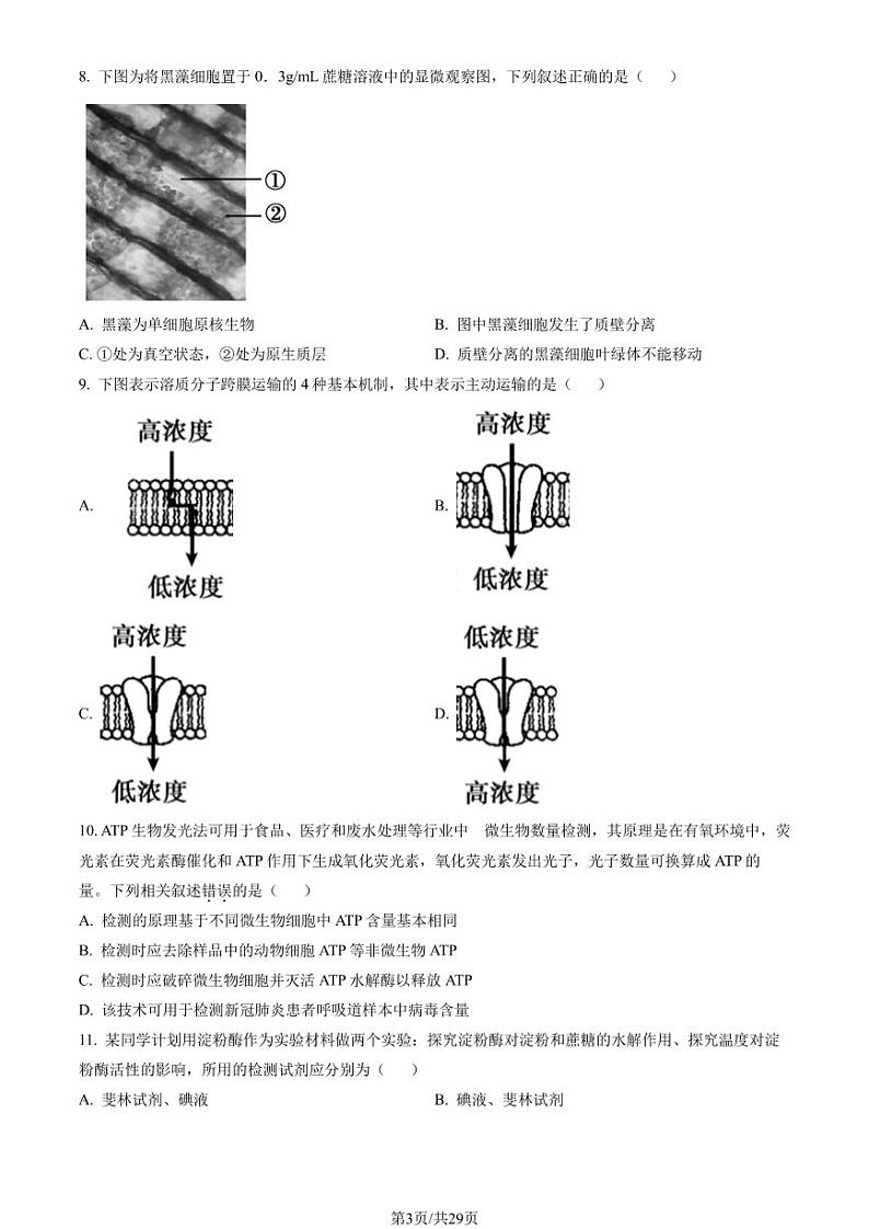 2023年北京朝阳高一上学期期末生物试卷及答案（教师版）第3页