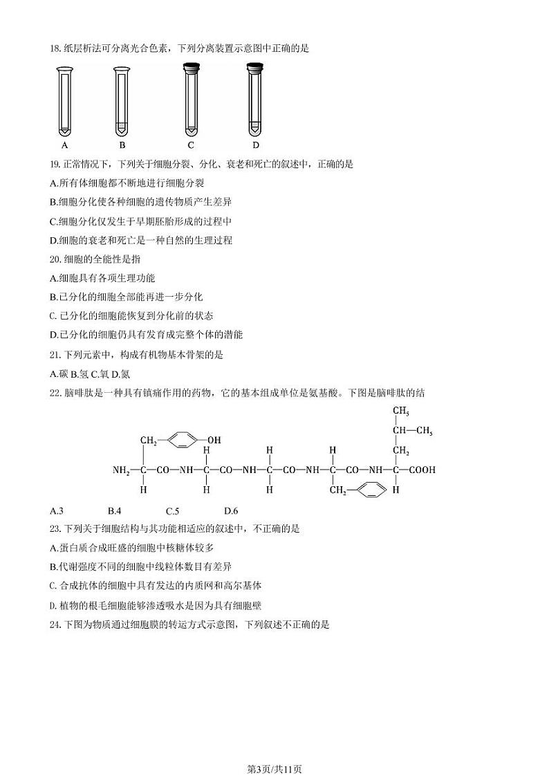 2023年北京平谷高一上学期期末生物试卷及答案（教师版）03