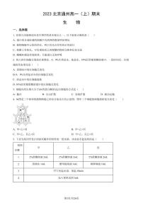 2023年北京通州高一上学期期末生物试卷及答案（教师版）