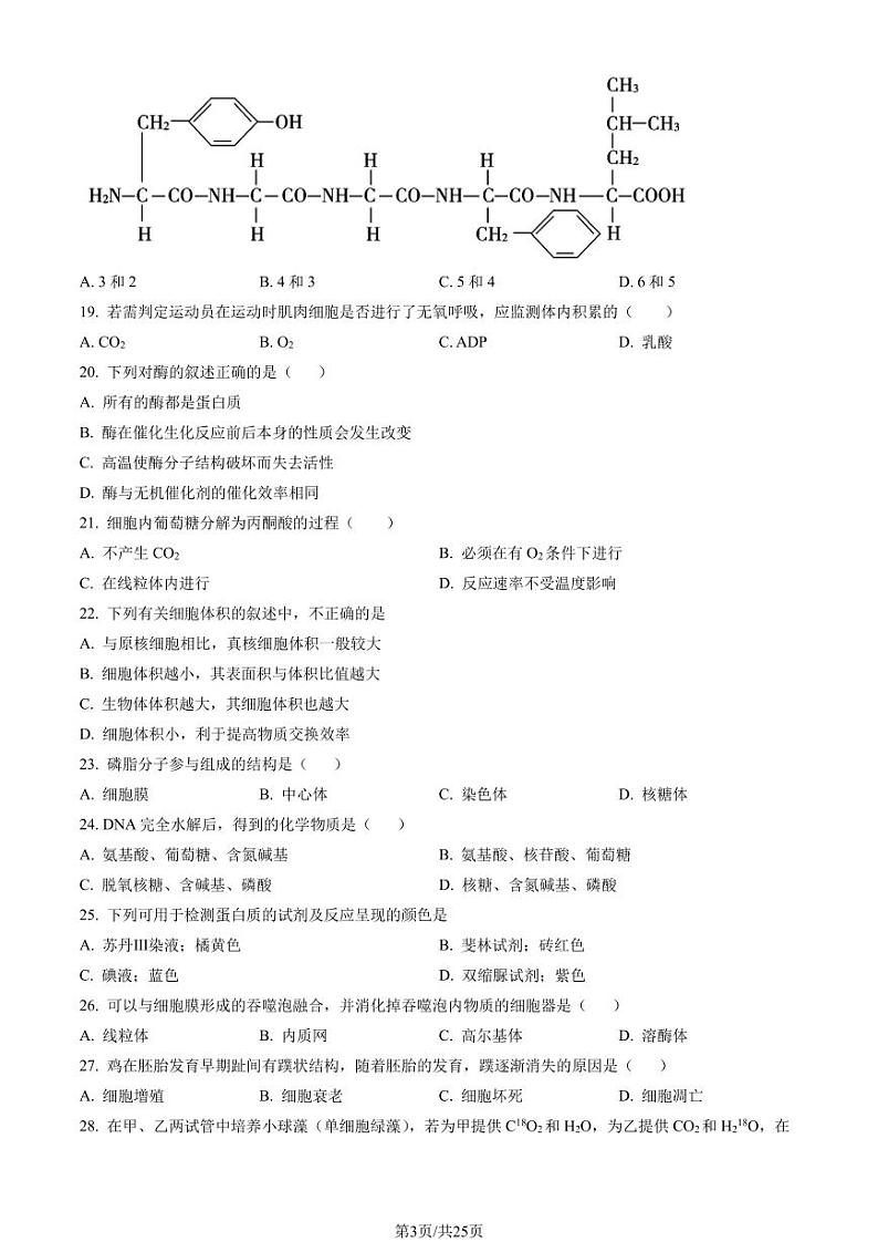 2023年北京延庆高一上学期期末生物试卷及答案（教师版）03
