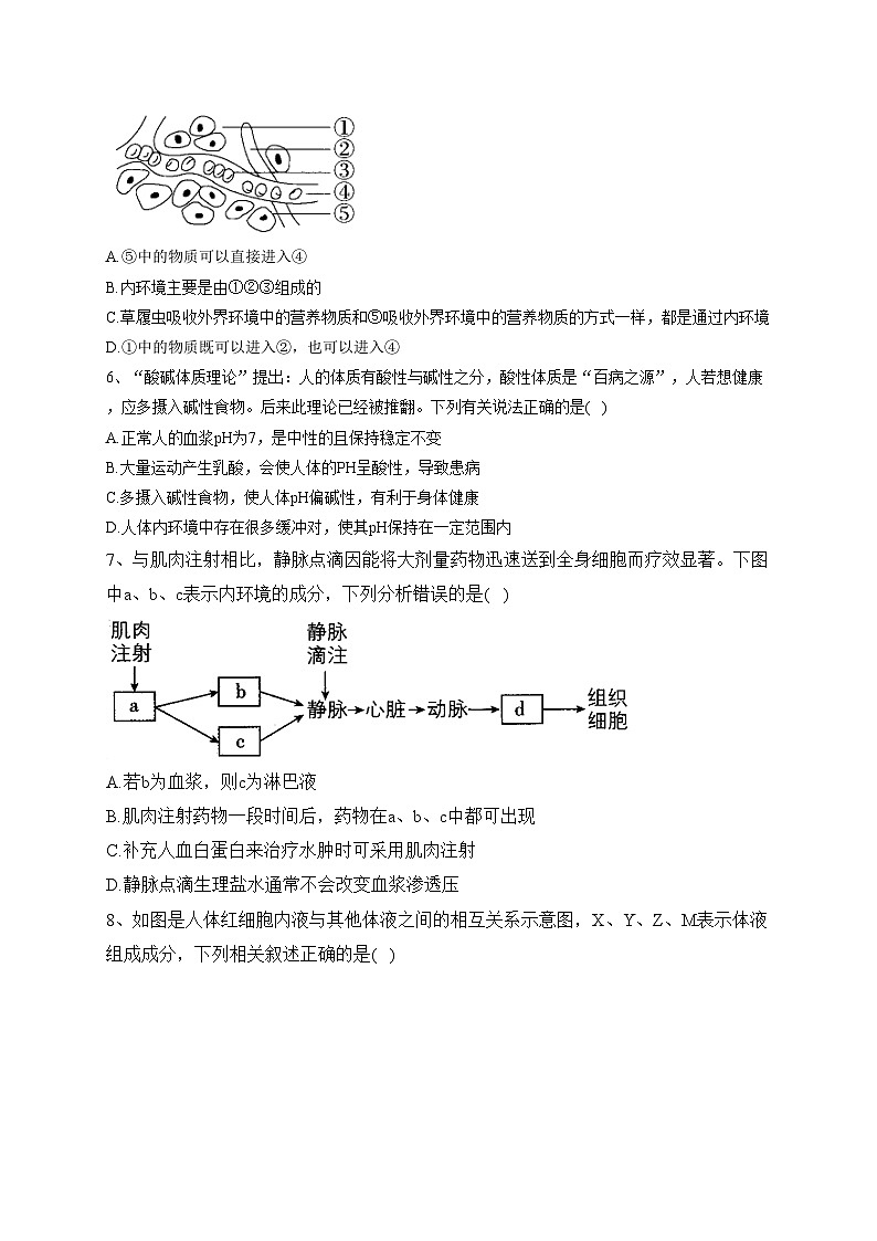 （1）内环境与稳态——2023-2024学年高二生物学浙科版（2019）寒假温故知新(含答案)第2页